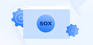 The term "sox" appears on a digital display of a computer monitor.